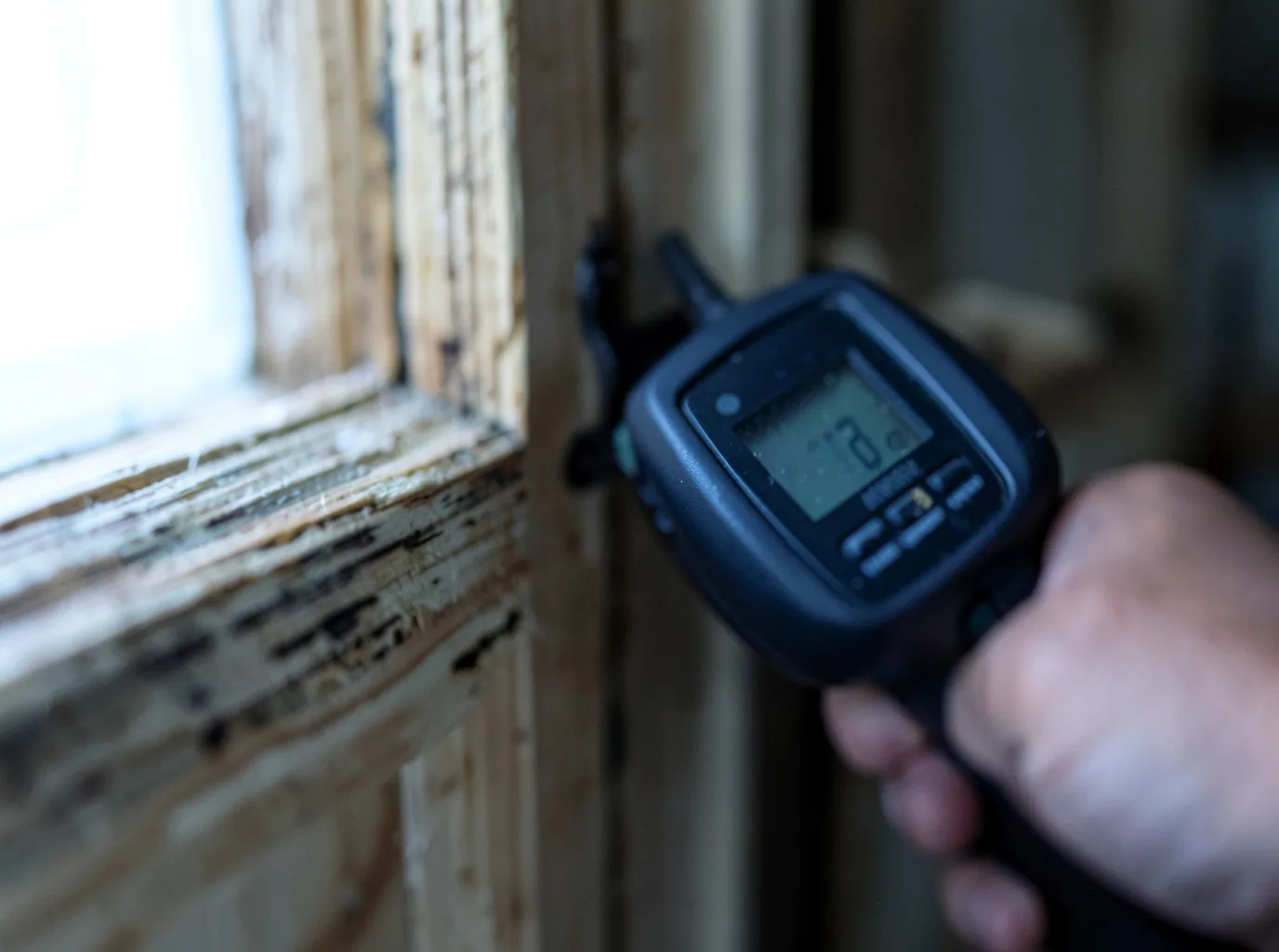 Moisture Inspection And Documentation in Lake Elsinore, CA